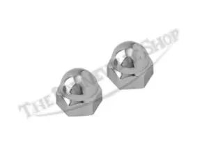 Triumph Rocker Spindle Dome Acorn Nut 21-0550 Triumph 750 T140 TR7 Chrome Rocker Spindle Dome Acorn Nut Pair