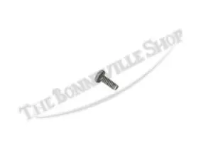21 0650 02 Triumph BSA 250 500 650 750 TLS Brake Screen Taptite Screw