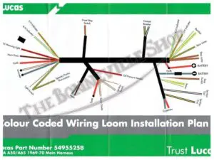 BSA MAIN HARNESS