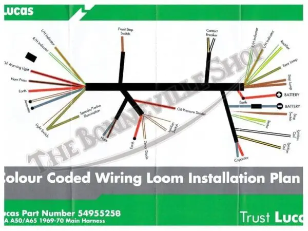 BSA MAIN HARNESS