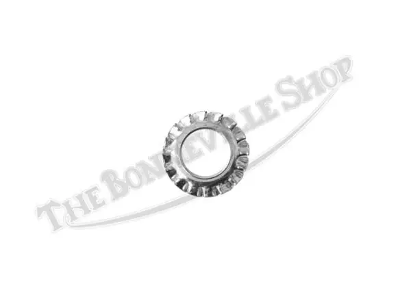 Oil Pump Serrated Washer PN# 70-3887