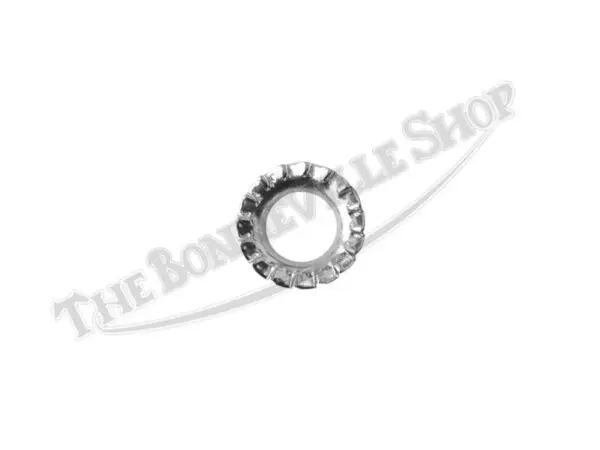 Triumph Oil Pump Serrated Washer 70-3887