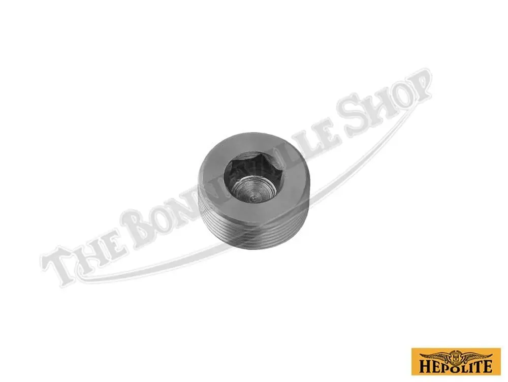 Triumph 650 Hex Sludge Tube Plug 70-3905
