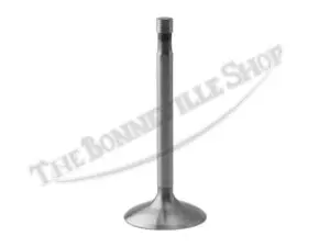 TRIUMPH 650 and 750 Triumph Standard Intake Valve 70-4603