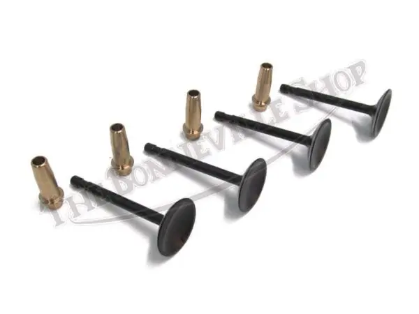 TRIUMPH VALVE AND GUIDE SET
