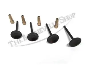 TRIUMPH VALVE AND GUIDE SET