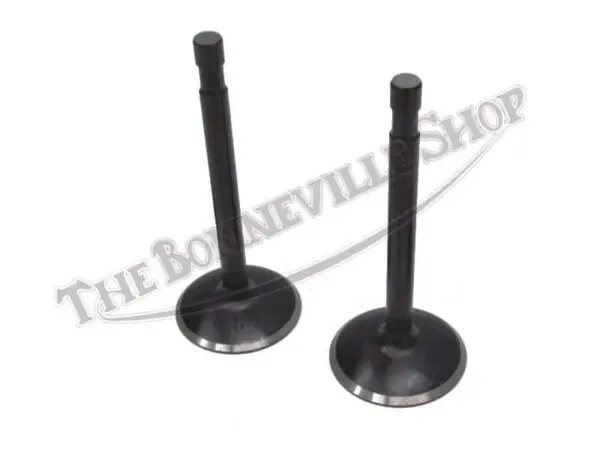 Triumph 500 Inlet Valves 70-6853