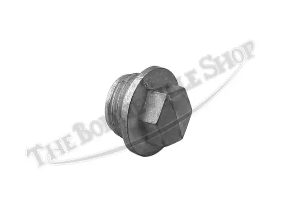 Rocker Box Tappet Inspection Plug(s)��PN# 71-2079 E12079