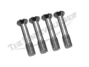 82 2936 S 03 TRIUMPH TWINS STAINLESS PARCEL GRID TANK RACK SCREW SET