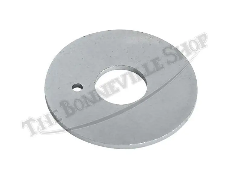 Triumph 650 Swingarm End Plate Washer 82-7675