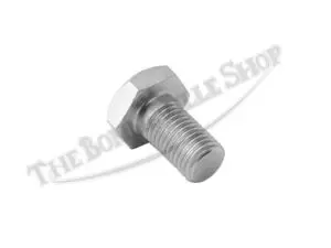 97 0590 03 Triumph Bolt 5 16 26 X 5 8 CEI