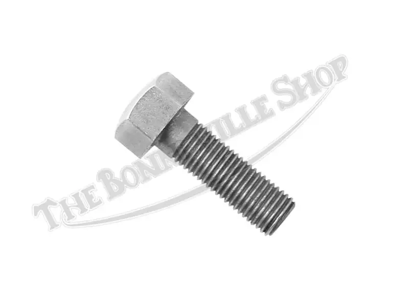 Chrome 5/16 Headlamp Bolt CEI 99-1004