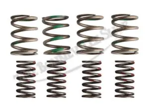 TRIUMPH T T VALVE SPRING SET