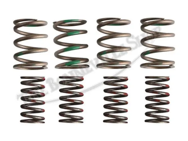 TRIUMPH T T VALVE SPRING SET