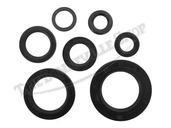engine oil seal set