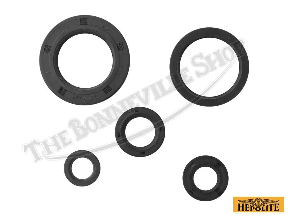 CdaL BSA A A Lightning Complete Oil Seal Kit Fits