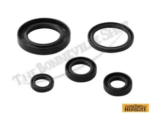 CdaL BSA A A Lightning Complete Oil Seal Kit Fits