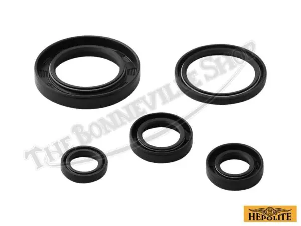 CdaL BSA A A Lightning Complete Oil Seal Kit Fits