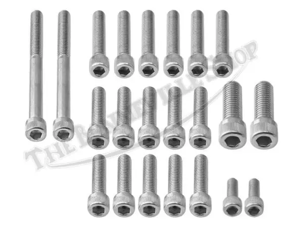 TBS 0103 02 Triumph 650 Bonneville Tiger Stainless Engine Cover Allen Screw Set 1963 68