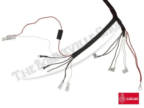 Triumph Lucas Wiring Harness Electronic Ignition 54953443 E TBS S Triumph Lucas EI Wiring Harness
