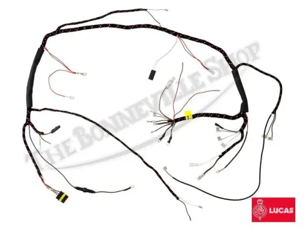 TBS S Triumph Lucas EI Wiring Harness