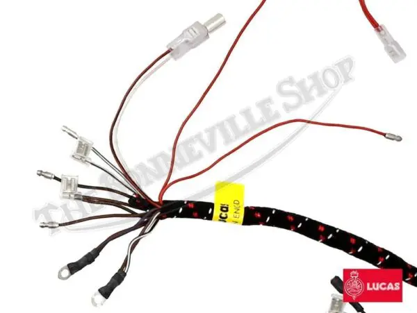 Triumph Lucas Wiring Harness Electronic Ignition 54955256 E