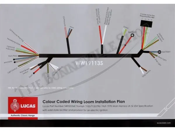 TBS S Triumph Lucas EI Wiring Harness
