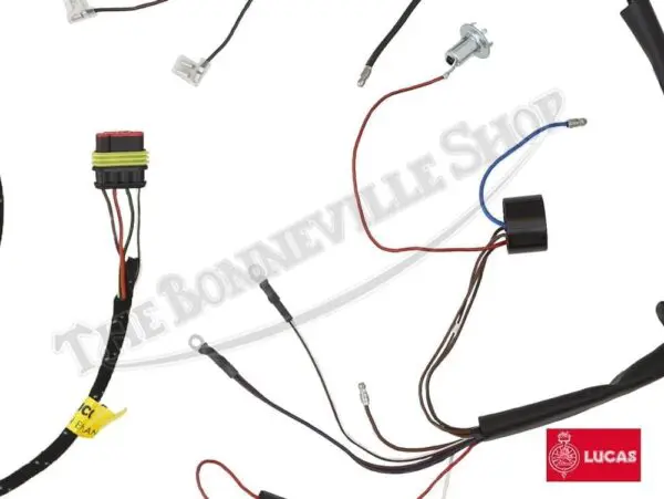 Triumph Lucas Wiring Harness Electronic Ignition 54950449 E Triumph Lucas EI Wiring Harness