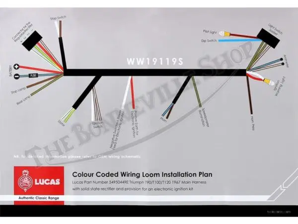 TBS S Triumph Lucas EI Wiring Harness