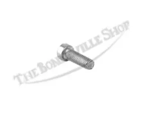 TBS 1BA 11014 02 Triumph Norton BSA Amal Handlebar Lever Screw