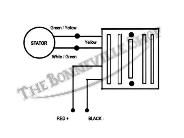 TBS TYMPANIUM REG REC