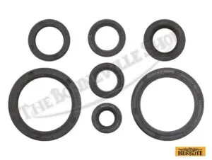 Hepolite Single Oil Seal Kit PN# TBS-61-355