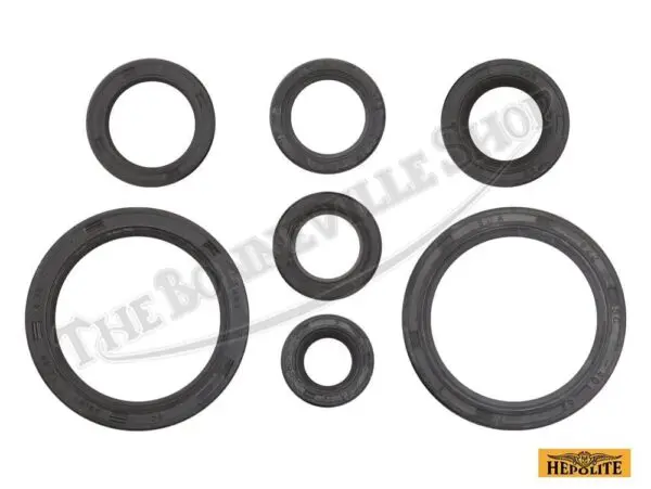 Hepolite Single Oil Seal Kit PN# TBS-61-355