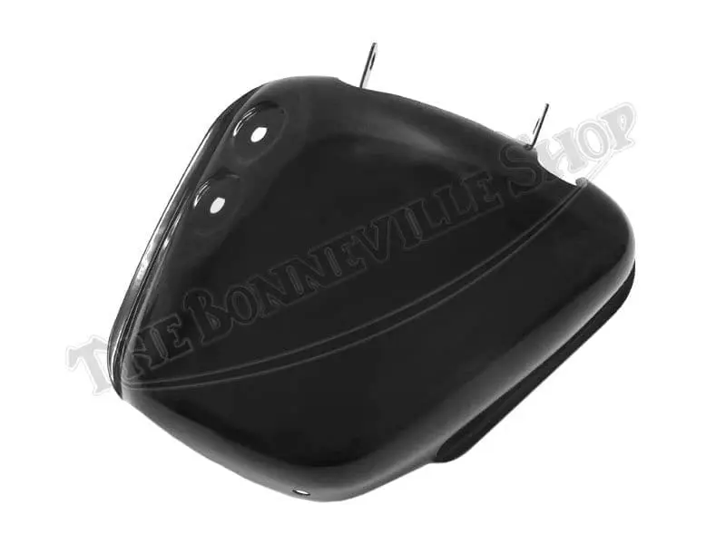 82 5394 01 63 65 TRIUMPH 650 SIDEPANEL COVER MASTER