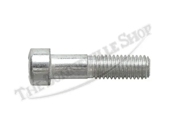 Triumph CEI Case Screw(s) PN# 70-3204
