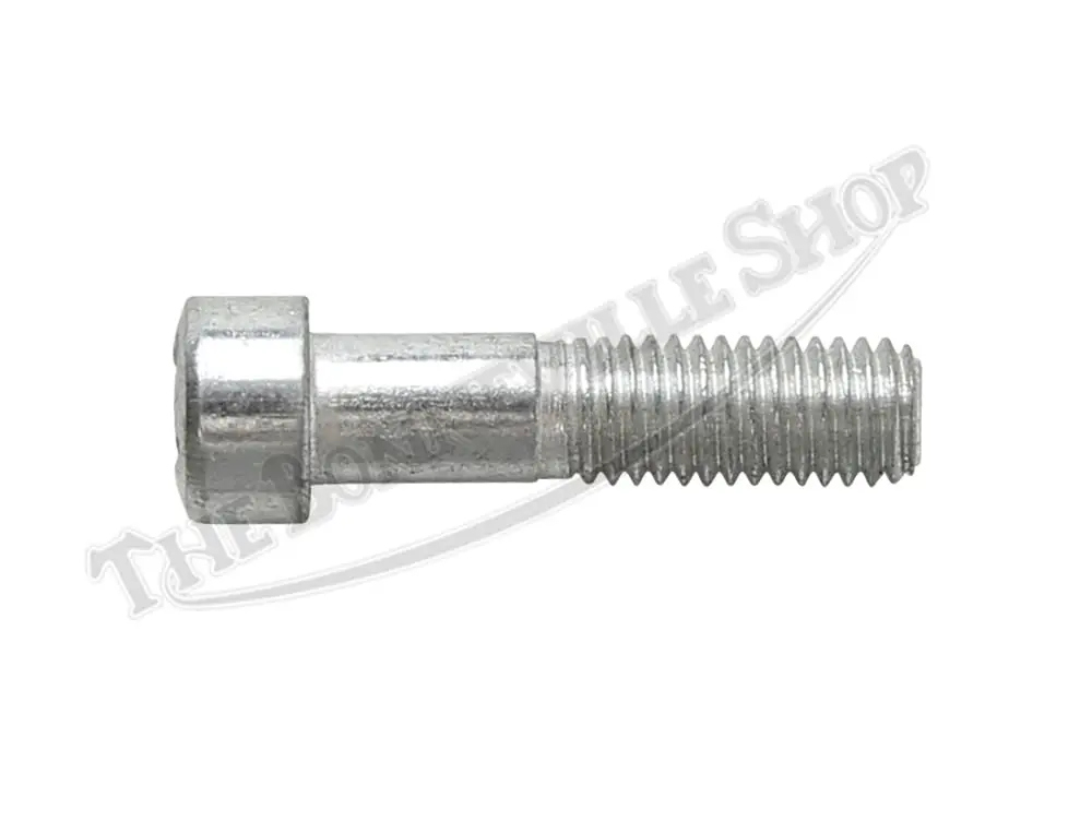 Triumph CEI Case Screw(s) PN# 70-3204