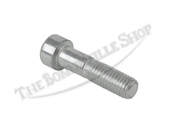 Triumph CEI Case Screw(s) PN# 70-3204