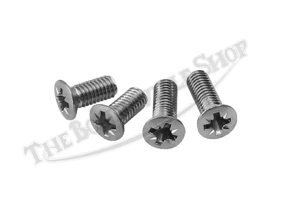 Triumph Gas Badge Tank Screws Only