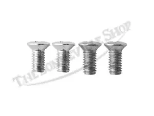 Triumph Gas Badge Tank Screws Only