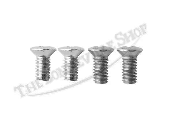 Triumph Gas Badge Tank Screws Only