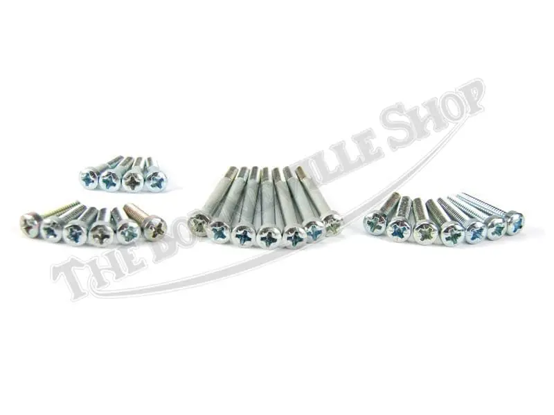 TBS T POSI SCREW SET