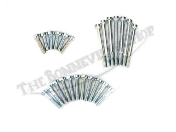 TBS T POSI SCREW SET