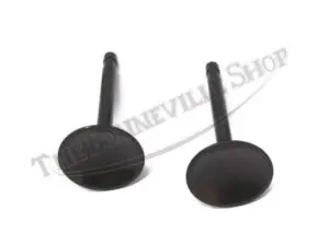 70 2904 02 TRIUMPH EXHAUST VALVE PAIR