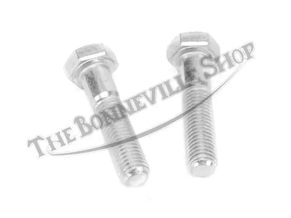 14 0218 01 TRIUMPH FORK LEG BOLTS PAIR