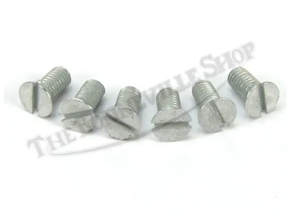 TRIUMPH SPROCKET DOOR SCREWS X