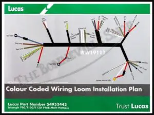 54953443 G 01 TRIUMPH 500 650 T120 TR6 T100 T100C GENUINE LUCAS WIRING HARNESS 1968