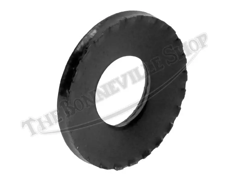 TBS ALTERNATOR ROTOR LOCK WASHER