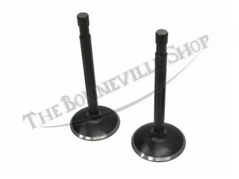 INLET VALVES 1966-72 68-0665
