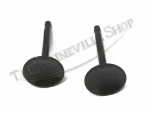 INLET VALVES 1966-72 68-0665