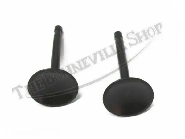 INLET VALVES 1966-72 68-0665